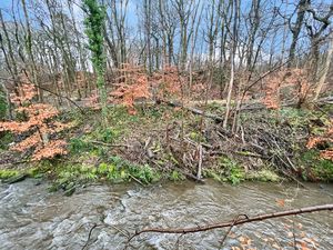 River- click for photo gallery